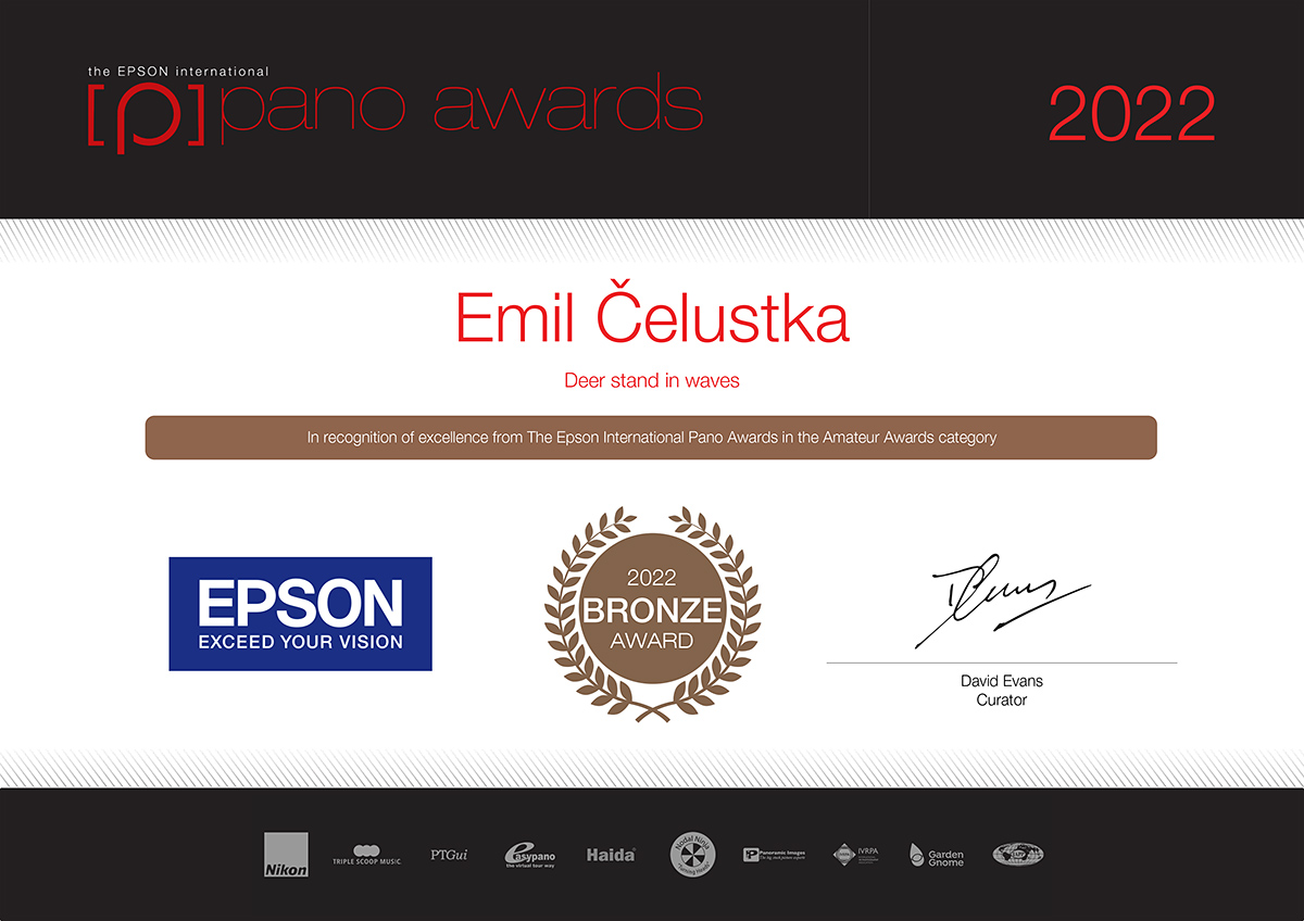 Certificate bronze award The EPSON Pano Awards 2022