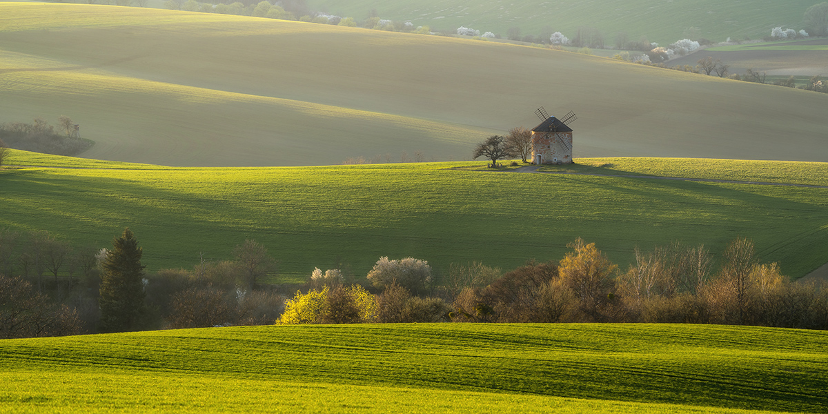 Awarded photograph: Spring windmill, Moravian Tuscany