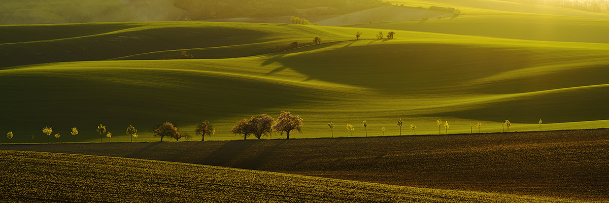 Awarded photograph: Rolling hills, Moravian Tuscany